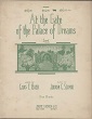 Cover of At the gate of the palace of dreams