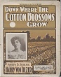 Cover of Down where the cotton blossoms grow