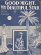 Cover of Good night my beautiful Star