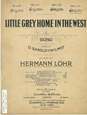 Cover of Little grey home in the west