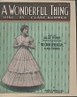 Cover of Wonderful thing