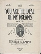 Cover of You are the ideal of my dreams